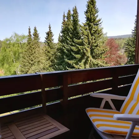 Appartement Harzwellness Altenau (Lower-Saxony)