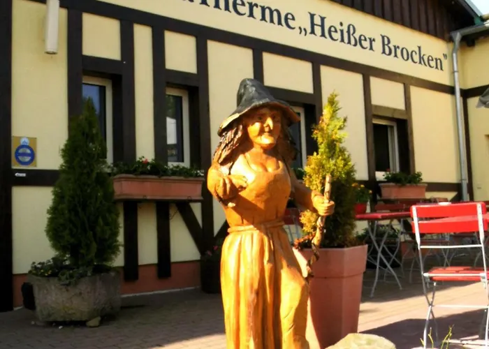 Harzwellness 公寓 *