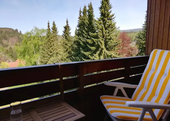 公寓 Harzwellness 阿尔特瑙