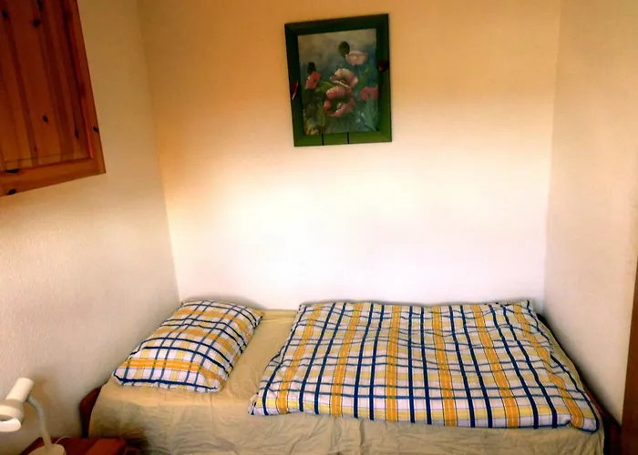 Harzwellness 公寓 *